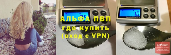 стаф Балахна