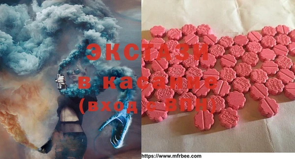 стаф Балахна