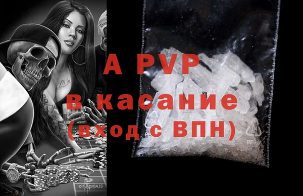стаф Балахна