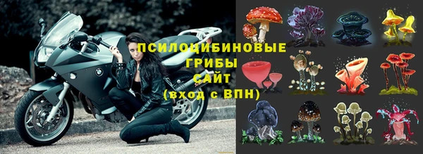 прущая мука Баксан