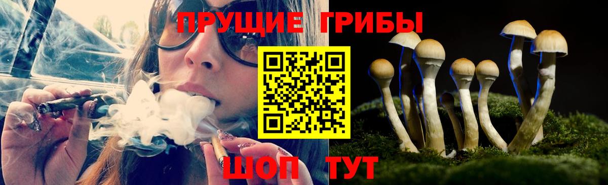 Псилоцибиновые грибы ЛСД Усть-Джегута