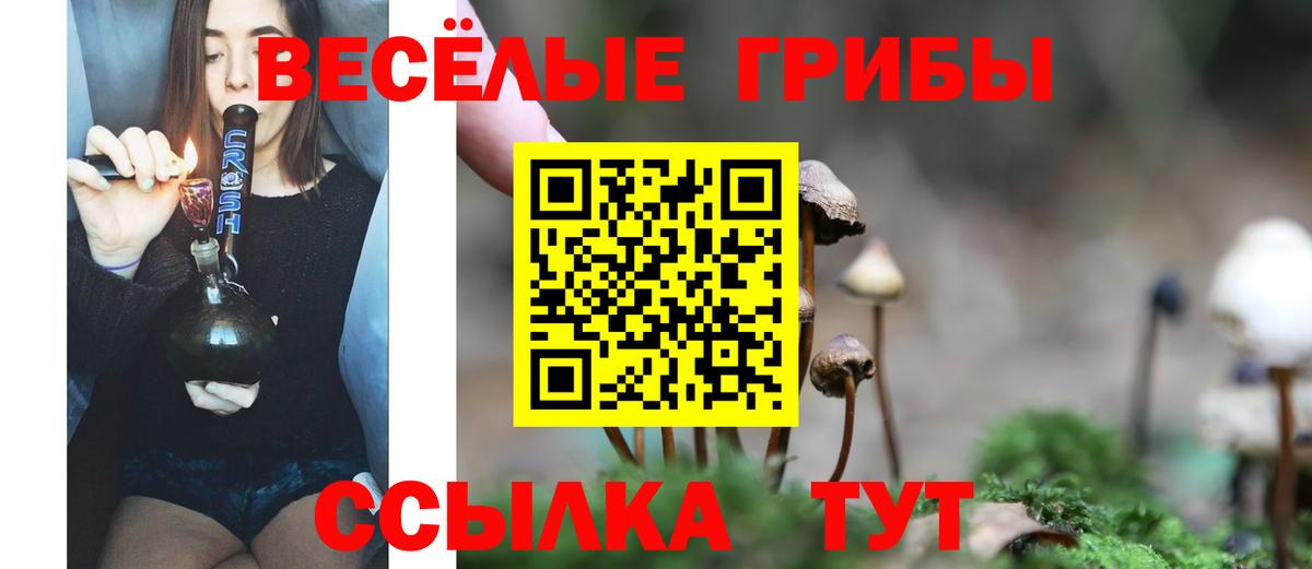 Галлюциногенные грибы прущие грибы  Вход с VPN  Усть-Джегута  Псилоцибиновые грибы Psilocybe 